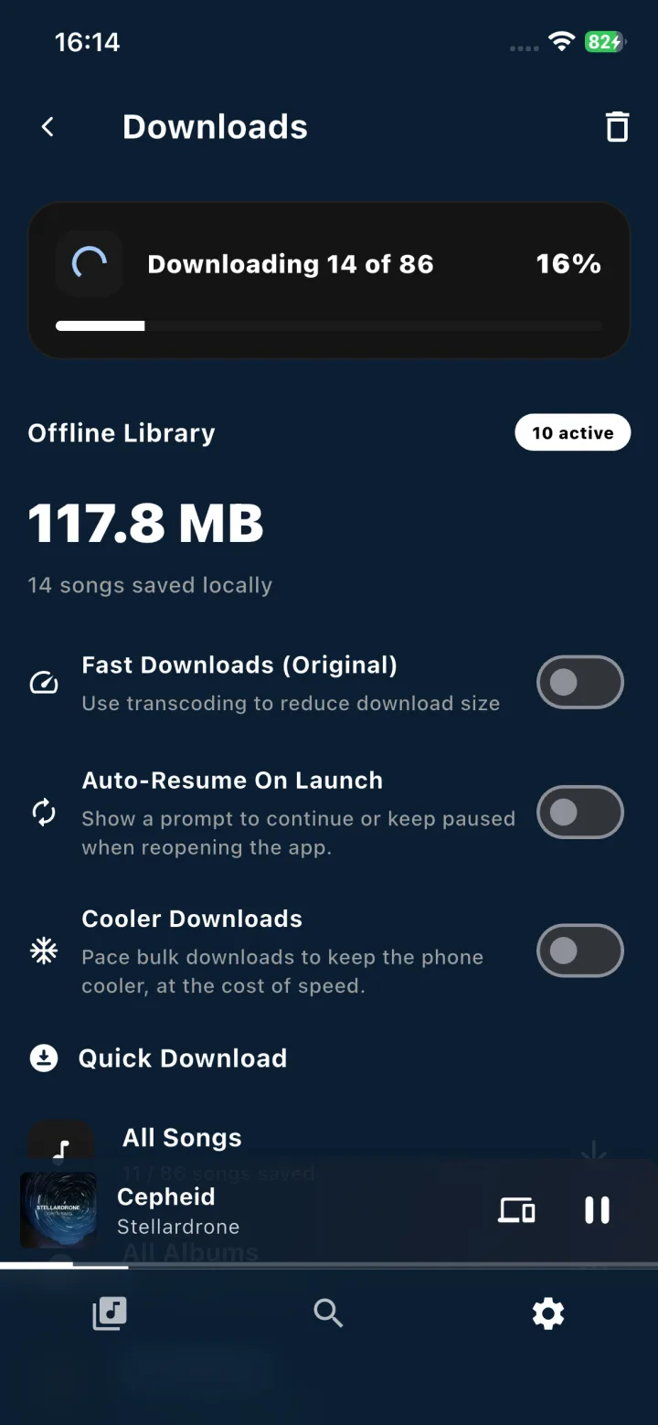 The downloads screen on the Ariami mobile app
